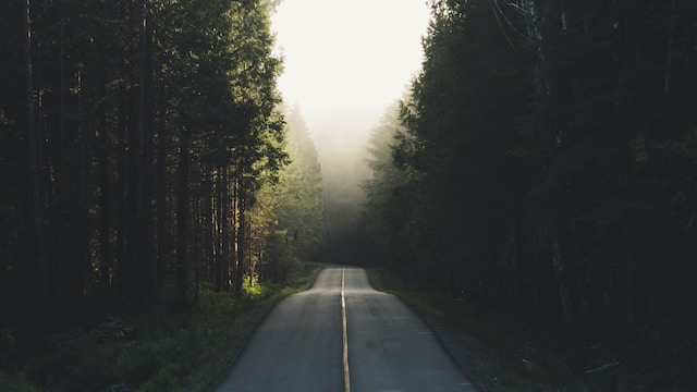 The Top 5 Most Picturesque Places on Vancouver Island